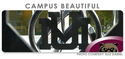 THE UM CAMPUS