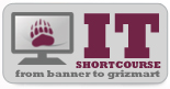 IT Short Courses