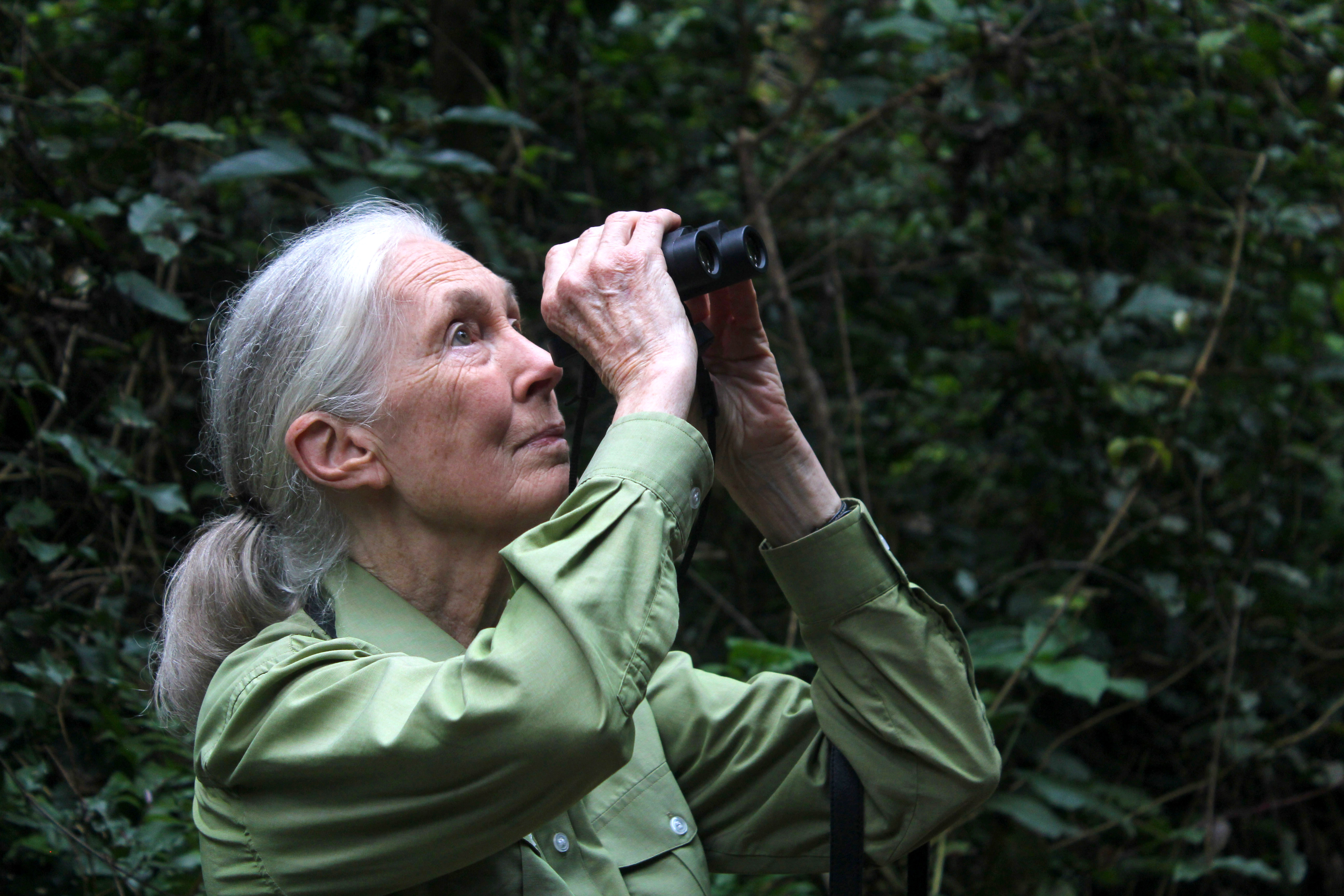 Photo of Dr. Jane Goodall