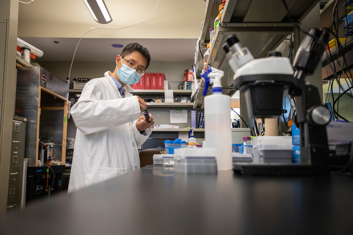 Photo of person in a lab