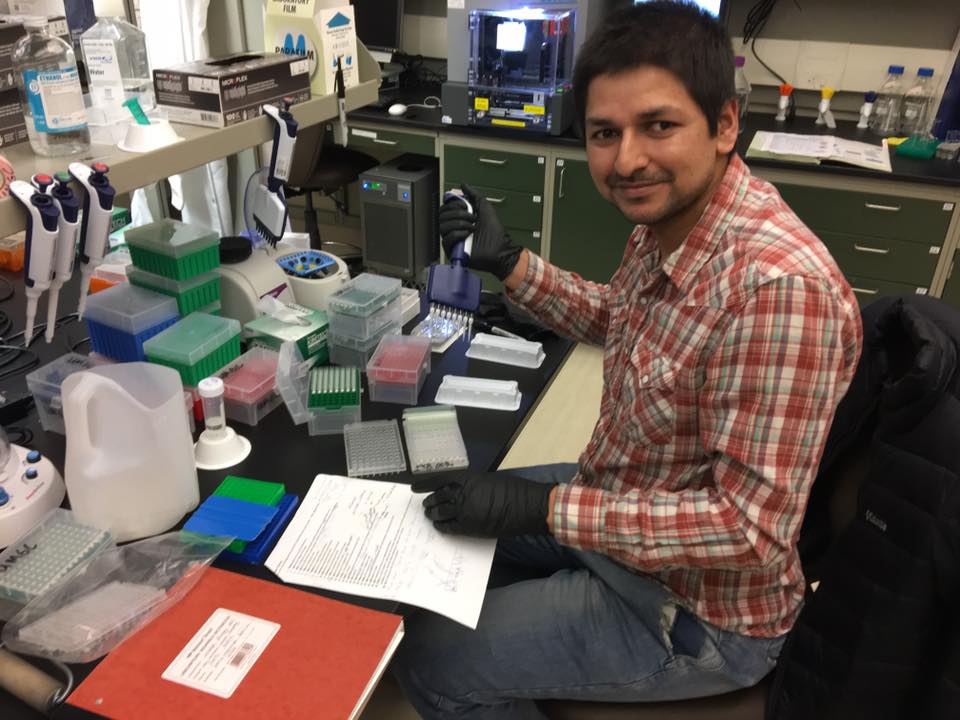 Faraz working in the lab