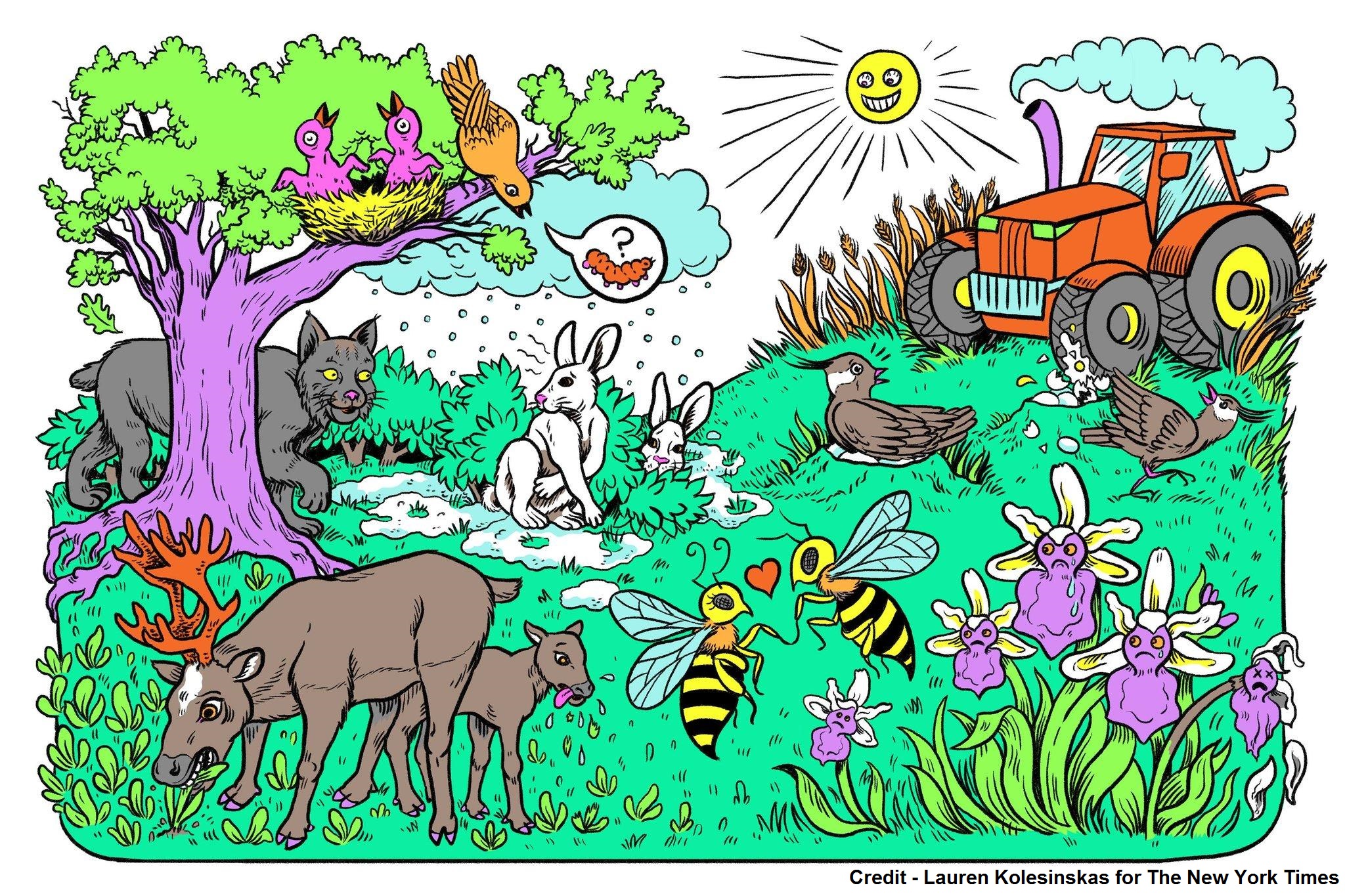 Cartoon graphic of animals in a field