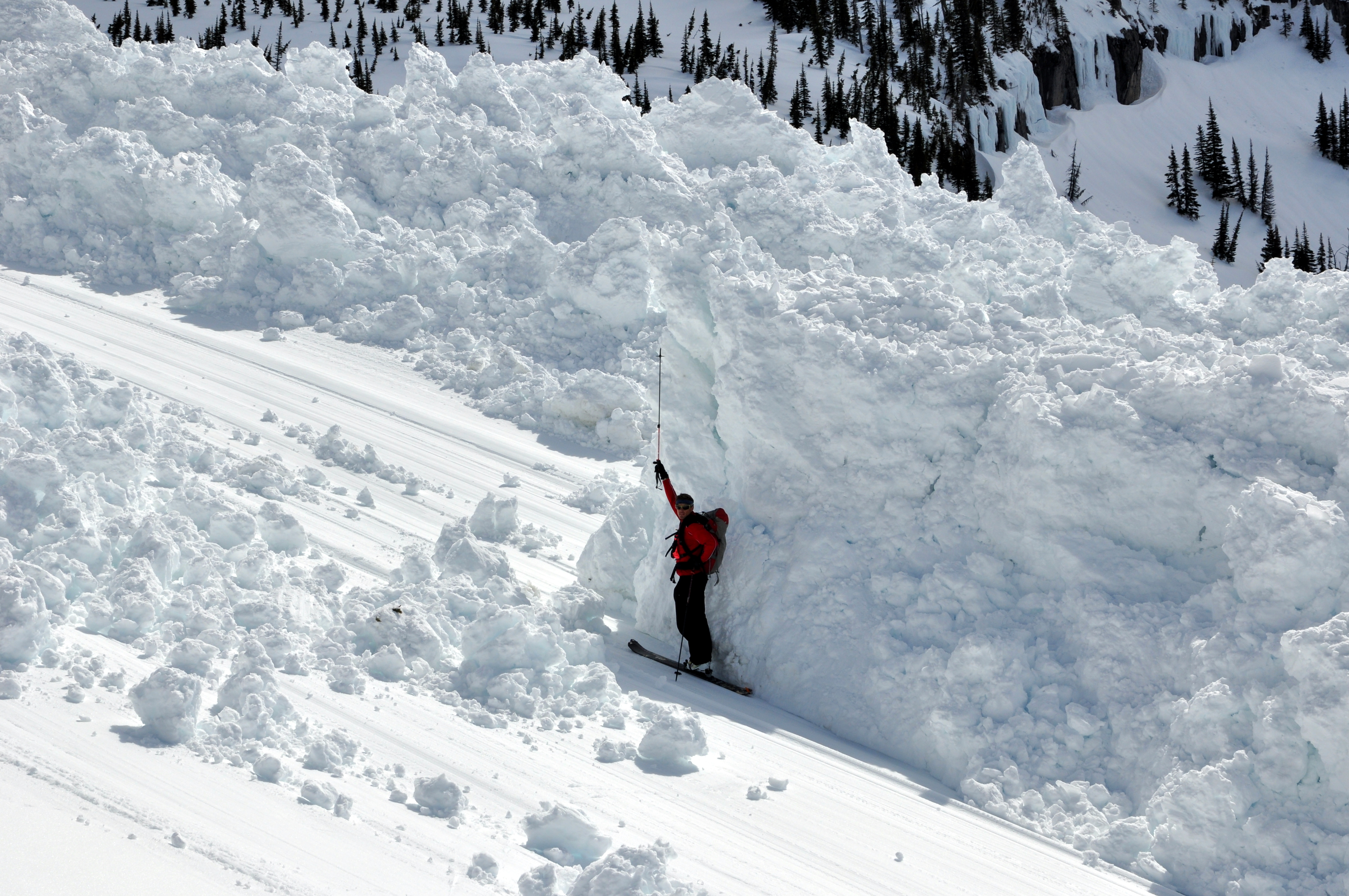 A member of the USGS CCME team puts avalanche debris in Glacier National Park into perspective. Photo courtesy of Dan Fagre. 