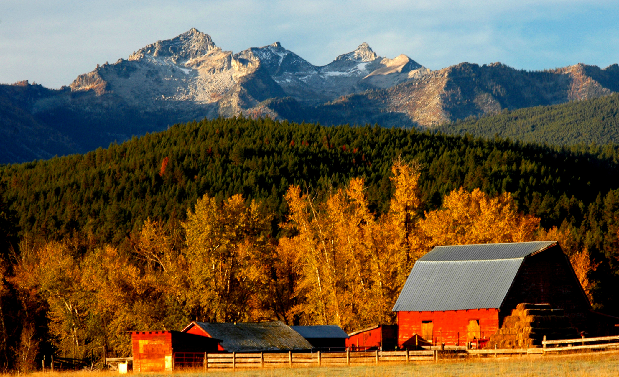 A red barn stands along the foothills of the upper Bitterroot Range as autumn leaves begin to turn color. (Rick & Suzie Graetz photo)