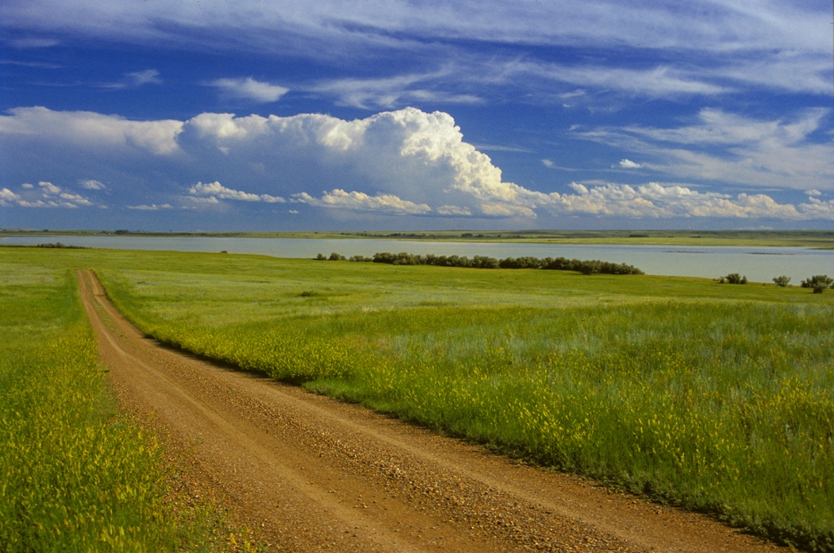 A road winds across the Bowdoin National Wildlife Refuge near Malta. (Photo by Rick and Susie Graetz)