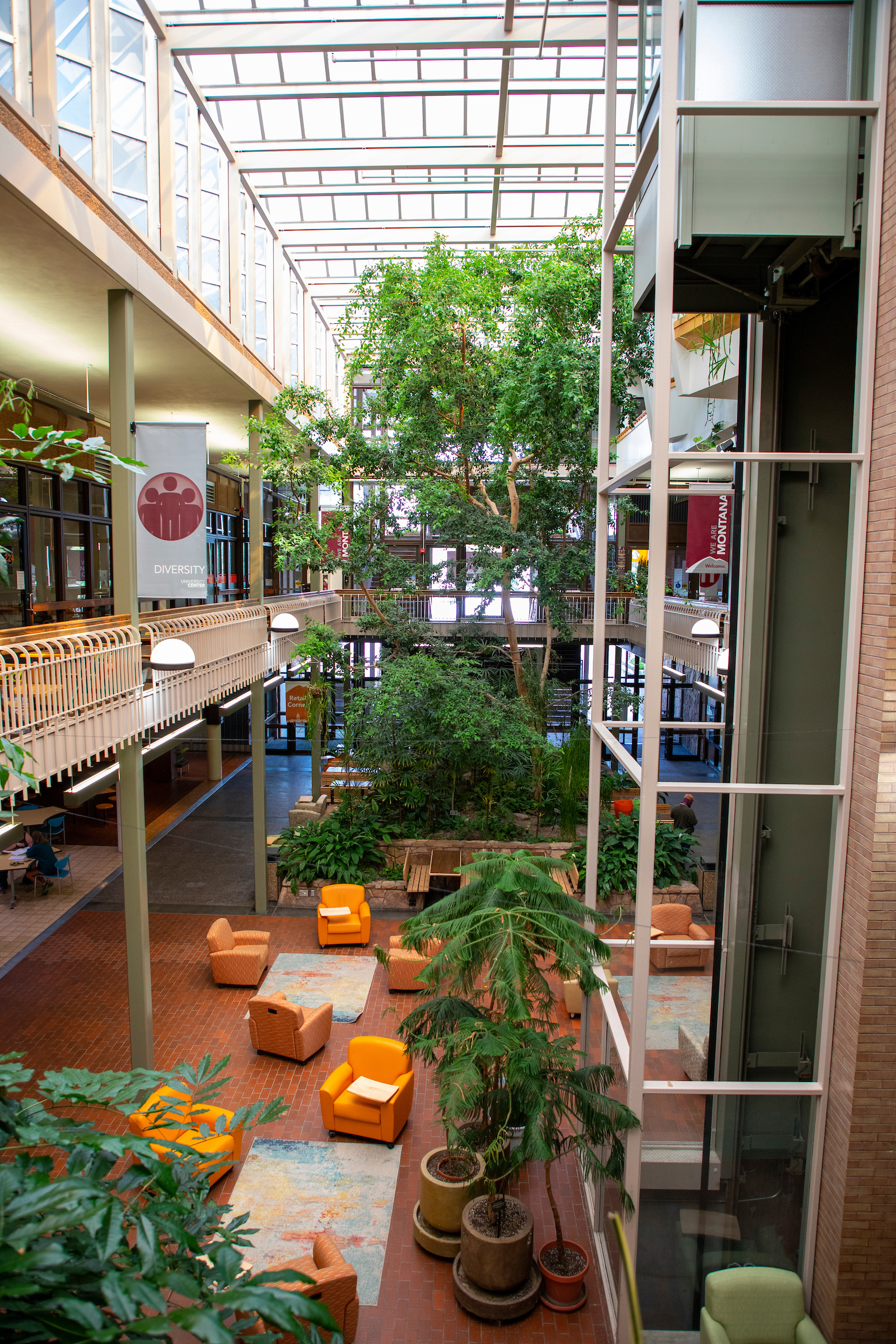 Waterfall and plants in the UC Atrium