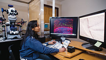 Graduate student Vaishali Satpute uses a state-of-the-art microscope to examine cell layers on the hippocampus (left screen) and an individual neuron. 