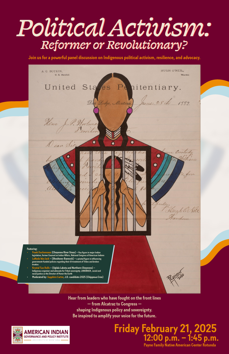 political activism: reformer or revolutionary?