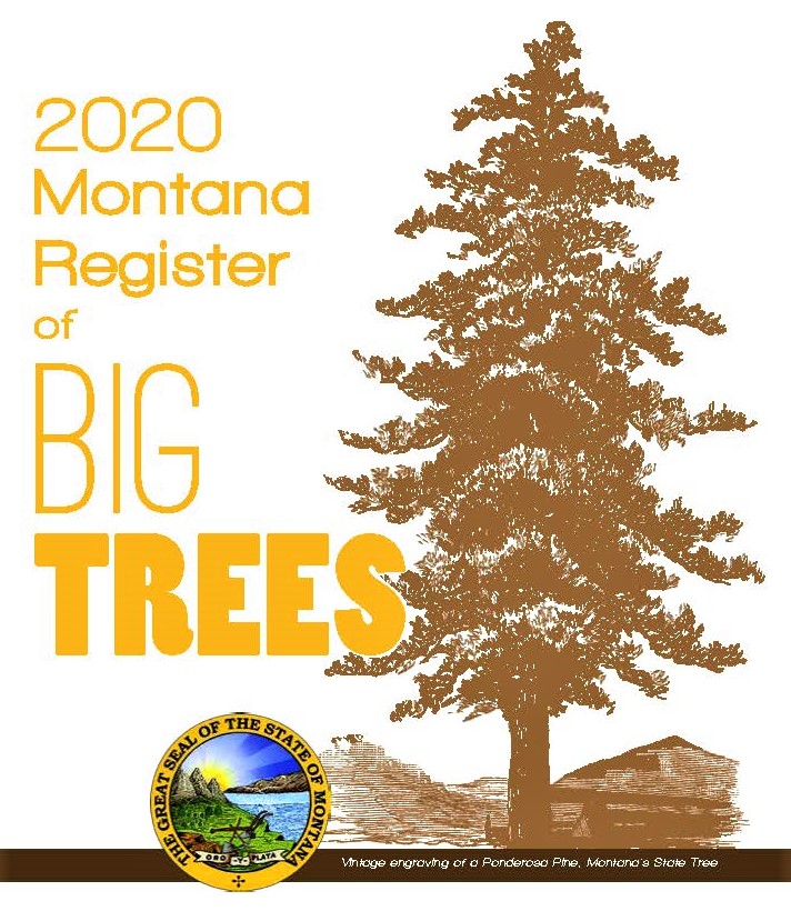 2020 big tree register cover page