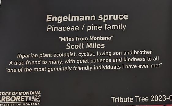 tribute tree plaque example