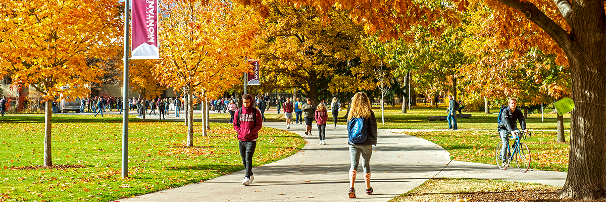 Students walking around the oval in the Fall