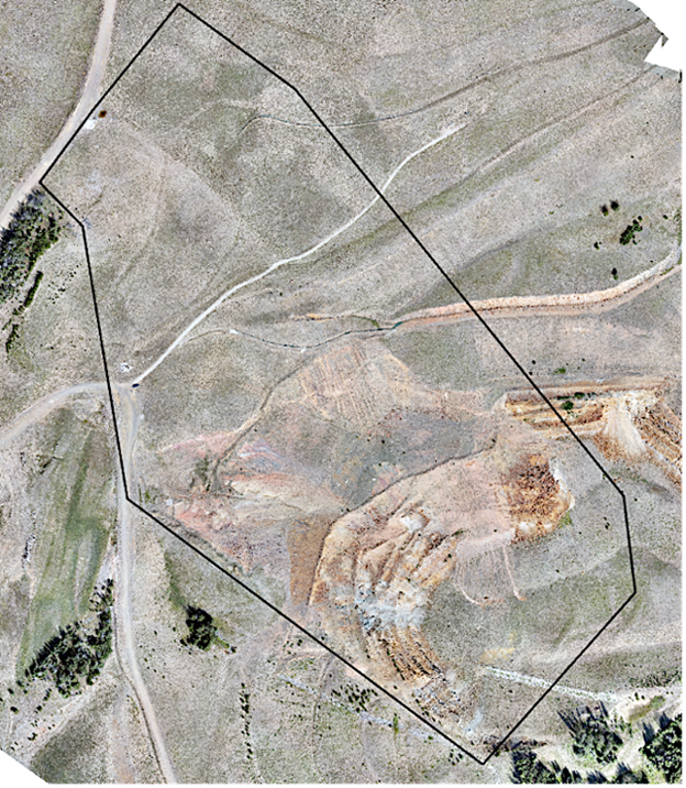 beal area of interest
