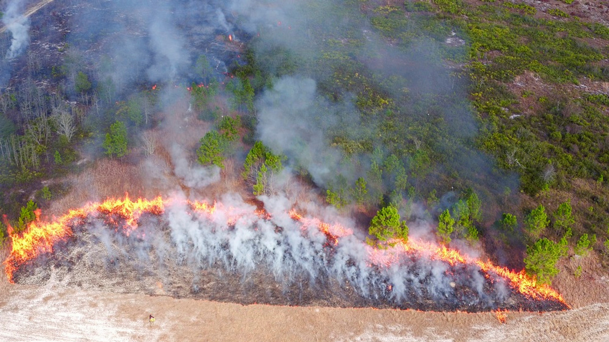 FireCenter members light a controlled fire near on-the-ground heat flux packages, which are designed to characterize heat change over time