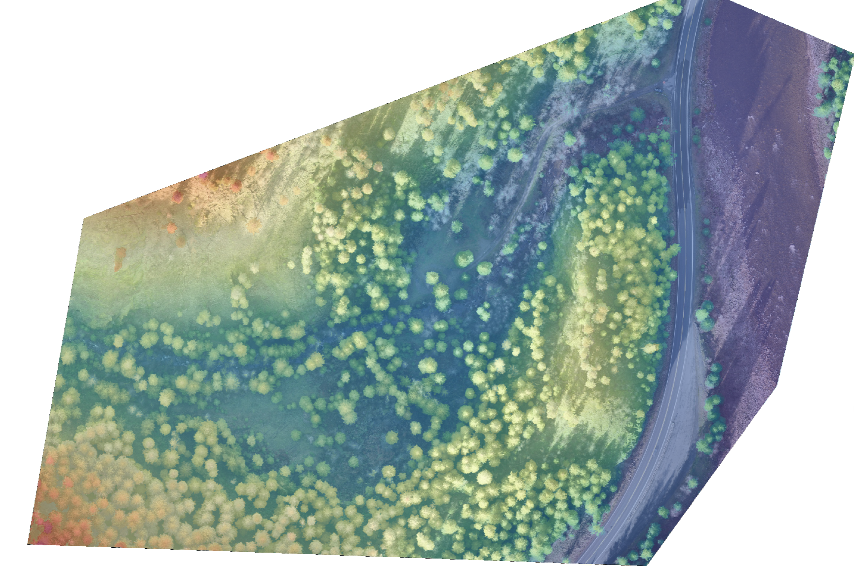 Digital Surface Model of Kooskia, Idaho generated from LiDAR imagery