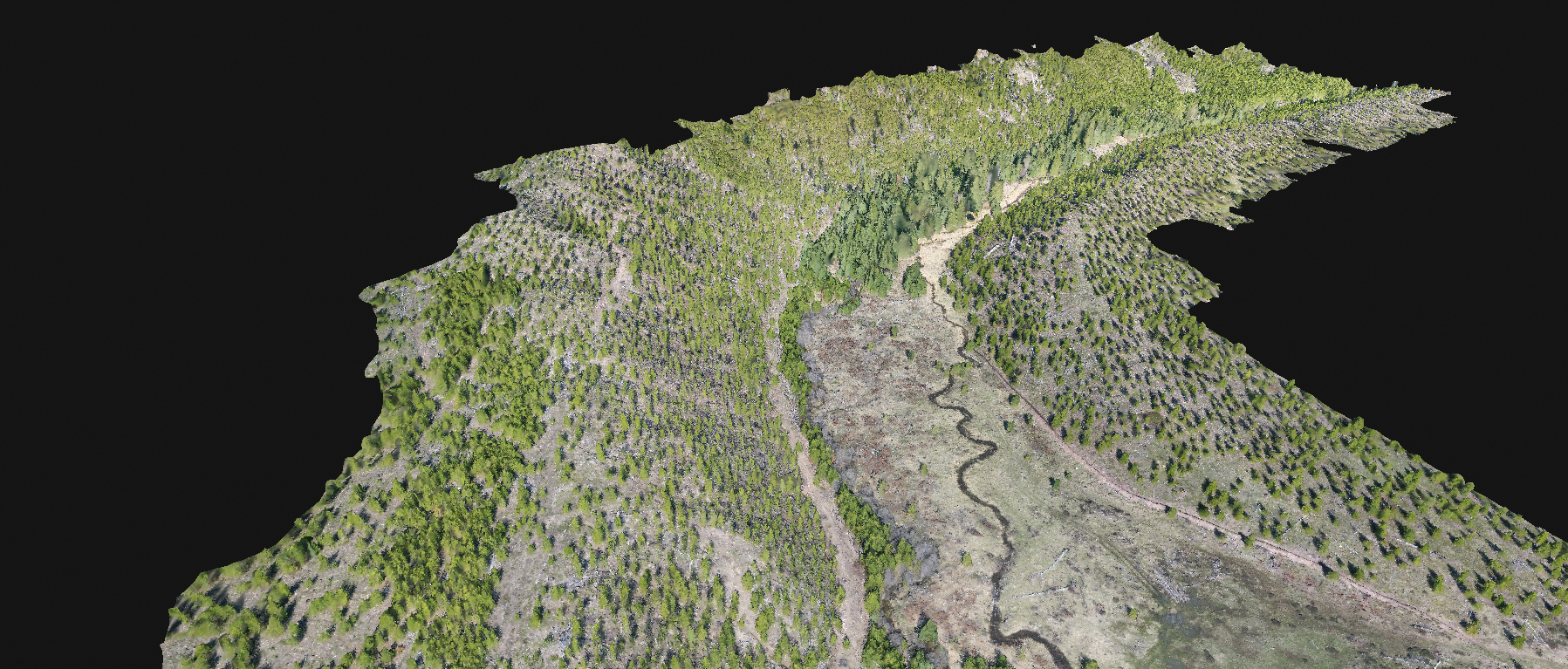 digital elevation model of a section of river and bank