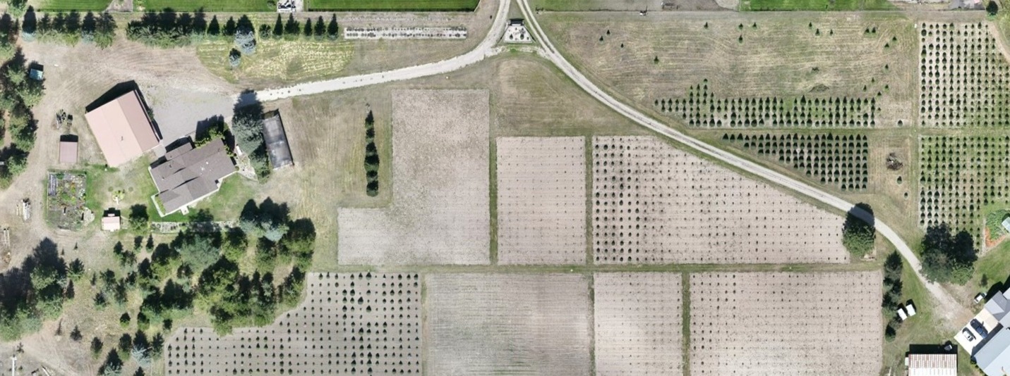 Orthomosaic of a plot of land