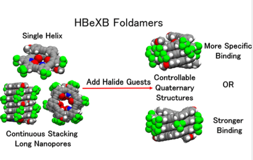 molecular folding diagram