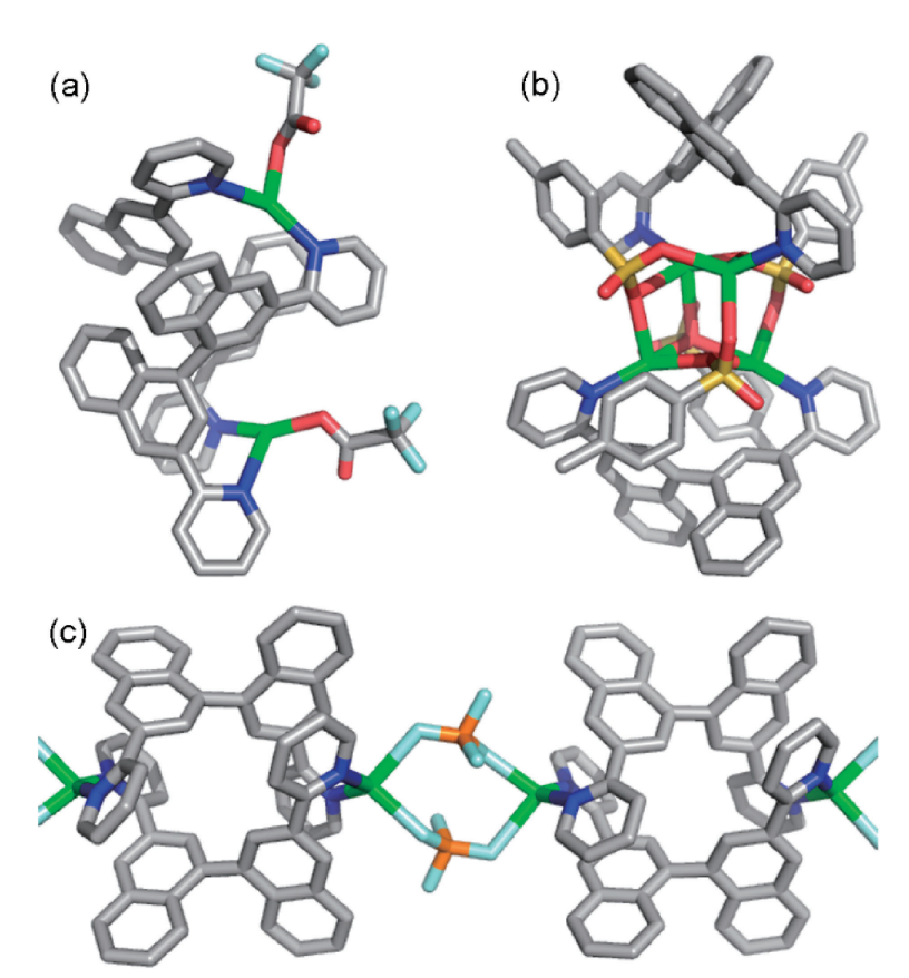 halogen-bonds-of-iodonium-ions-a-world-dissimilar-to-silver-coordination.png