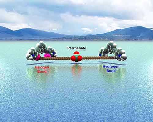 Chemical Communications cover
