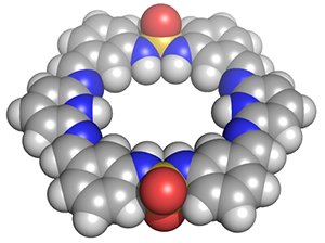 Metal organic macrocycle
