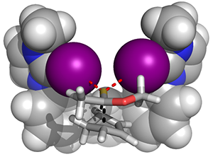 Halogen bonding molecule catalyzing a reaction