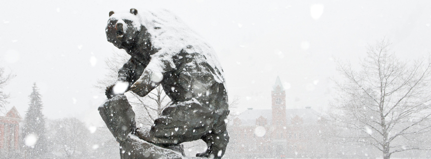 griz statue in the snow