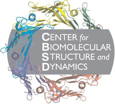 Center for Biomolecular Structure and Dynamics logo