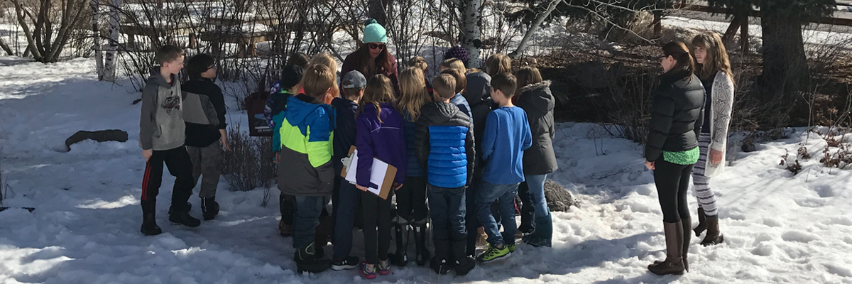 Third grade students watch as a Black-capped Chickadee is banded and measured