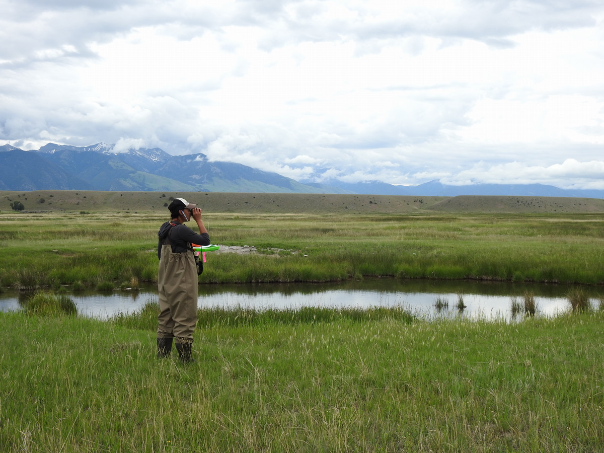 A researcher looks through binoculars on a stream edge while wearing waders. 
