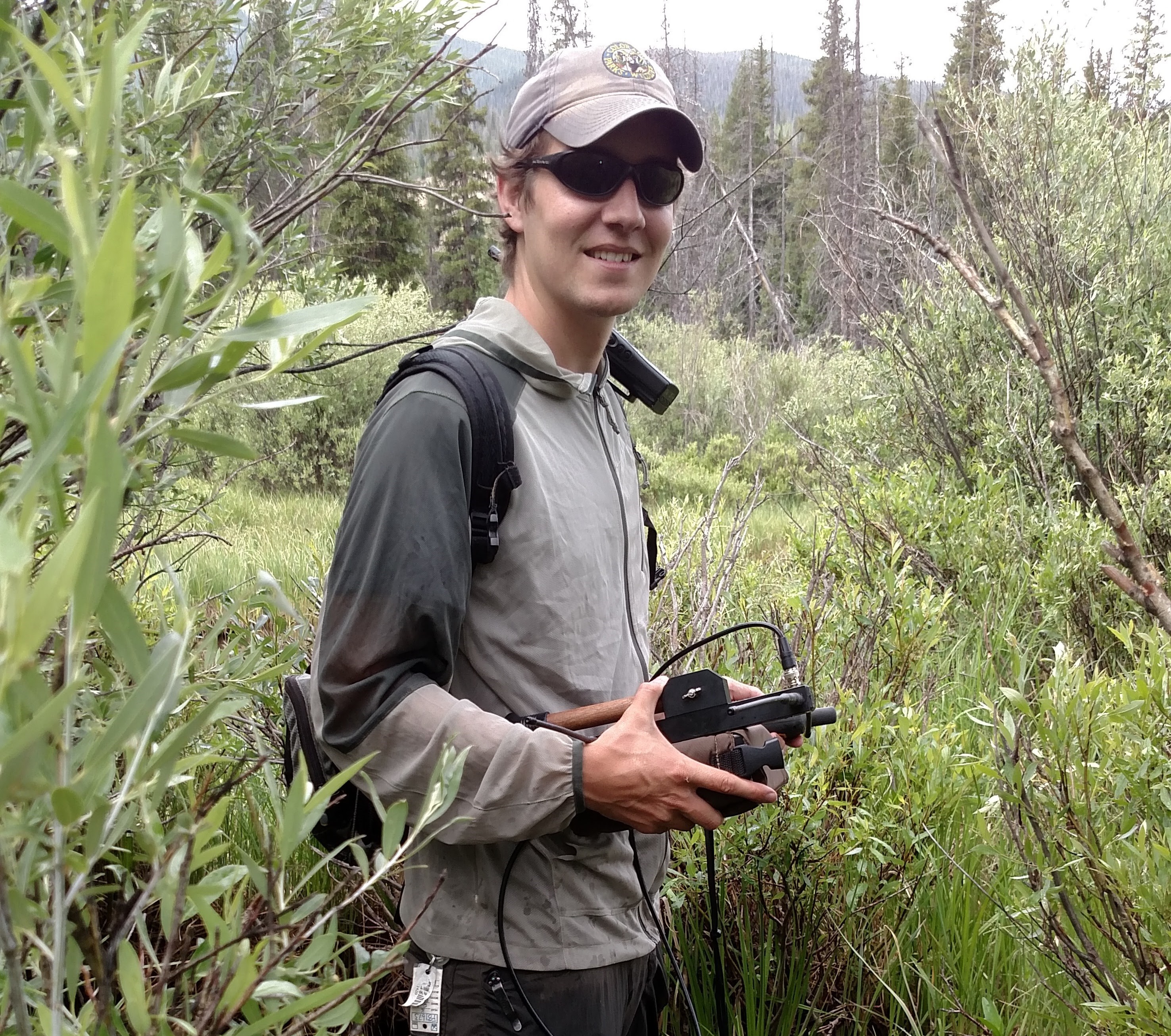 Forest Hayes in northern Colorado tracking collared moose in willow habitat