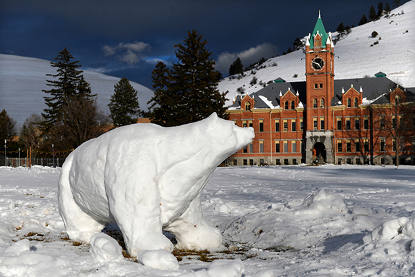 A life-sized bear made of snow stands on the Oval at UM.