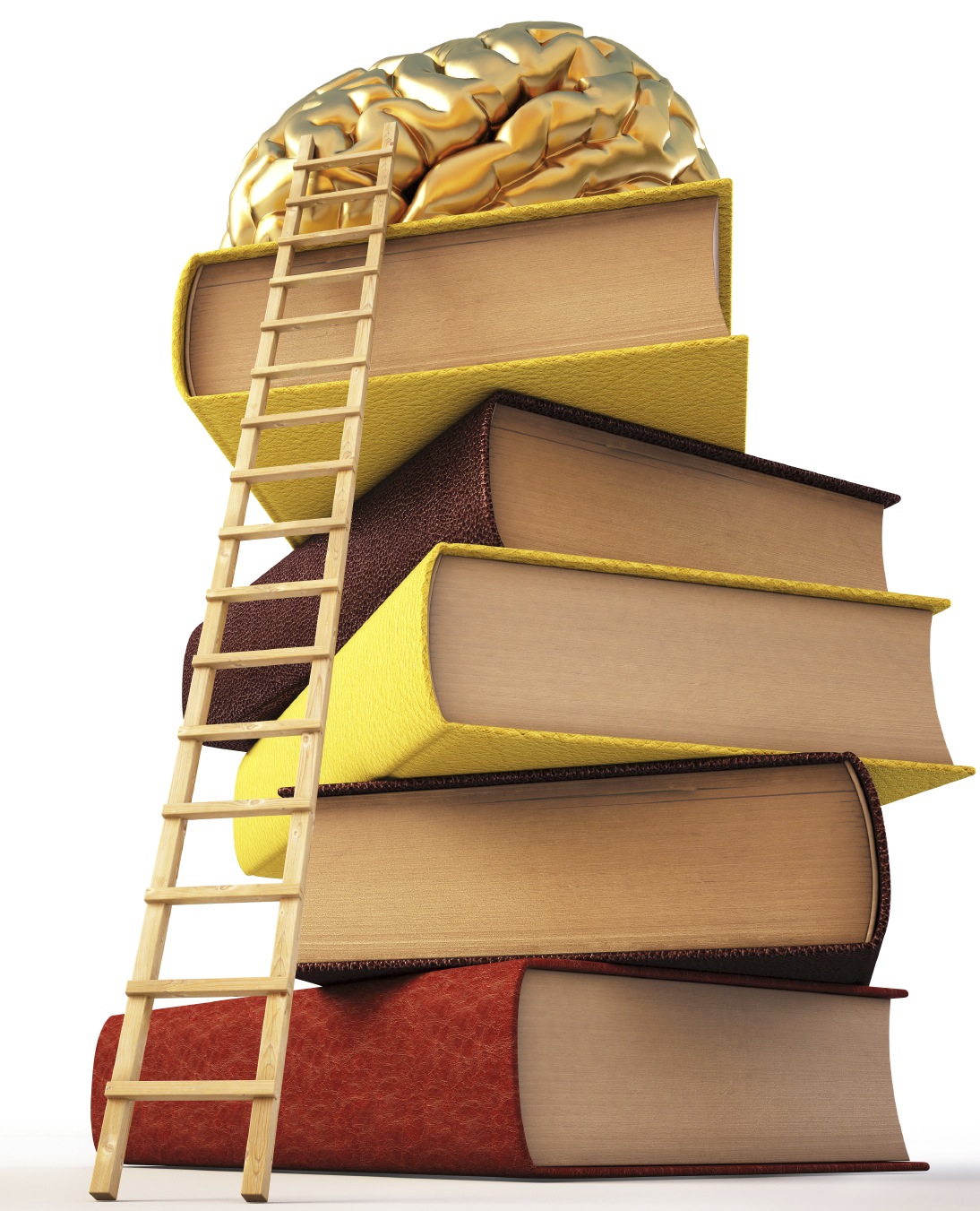 Brain Books Ladder