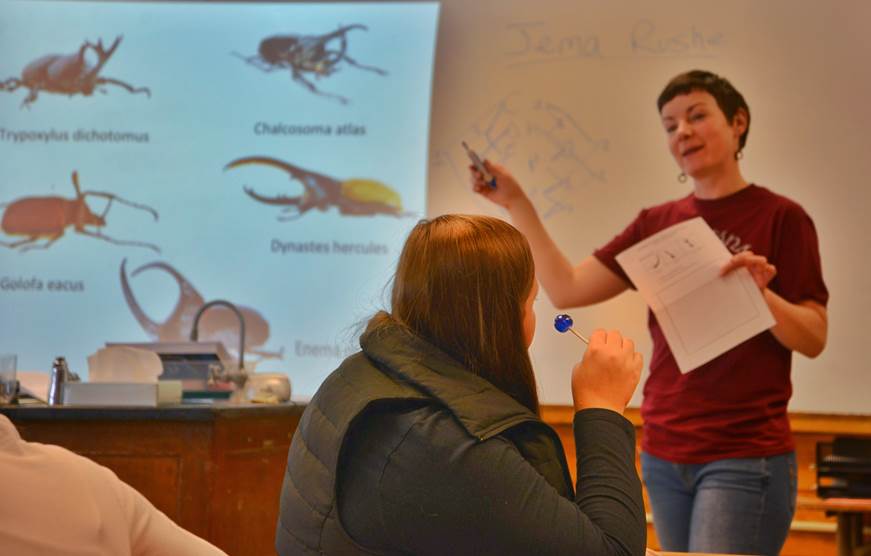 guest teacher lecturing about insects guest teacher lecturing about insects