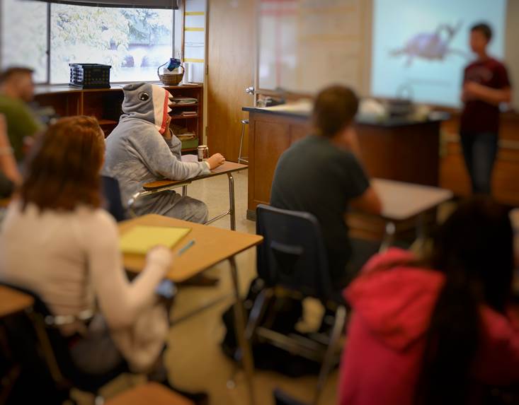 students in a classroom. one is dressed in a shark costume. students in a classroom. one is dressed in a shark costume.