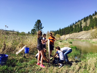 BAP members participating in an outdoor environmental activity by a riverbank, engaging in hands-on conservation efforts.