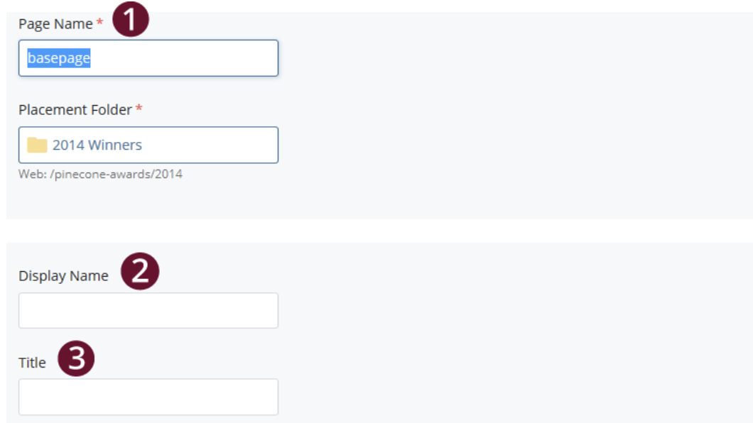 screenshot of page name, display name and title options