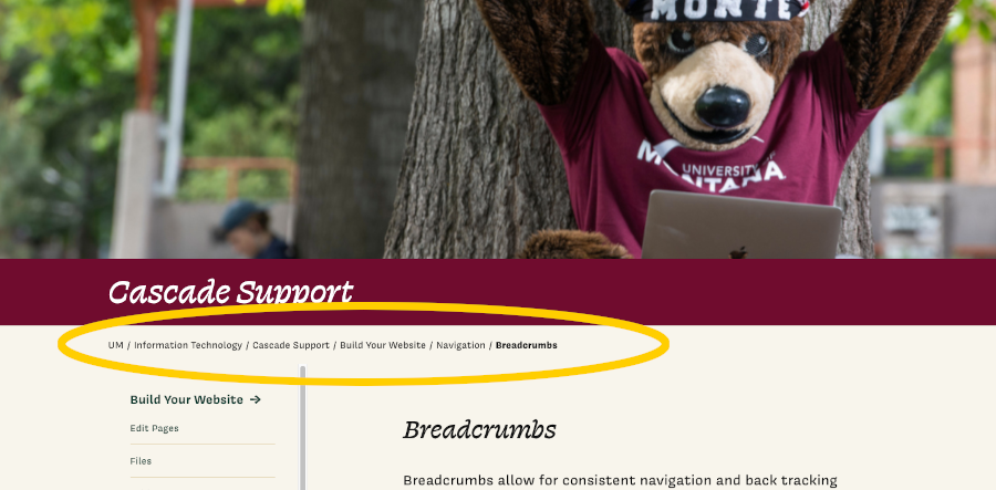 Screenshot with Cascade breadcrumbs circled in red