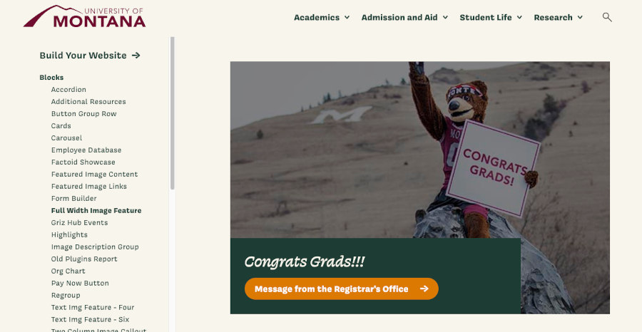 Example of the Full Width Visual Callout Block