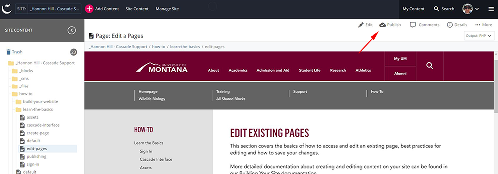 Screenshot showing Publish link