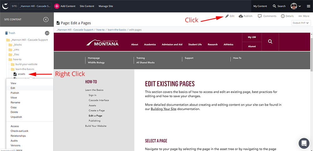 Screenshot of Cascade dashboard where to select 'Edit'