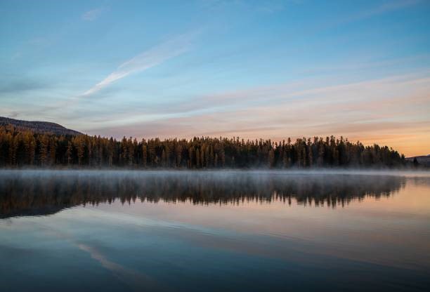 Misty lake at sunrise with a pine forest reflected on calm water under a pastel sky.