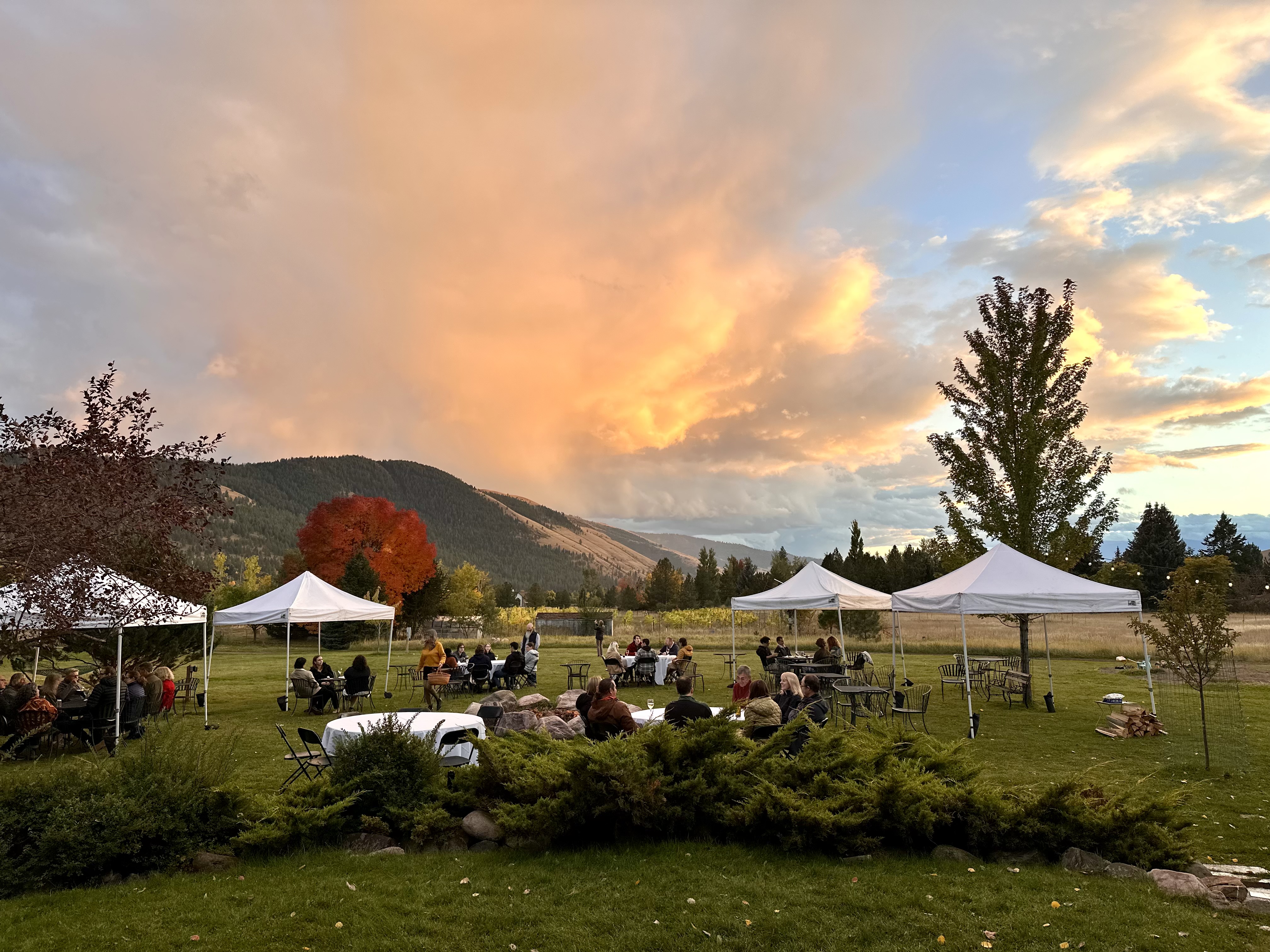 Outdoor gathering under white canopy tents on a lawn with mountains in the background and a glowing sunset sky.(Photo by Bahar Ghazi Esfahani)