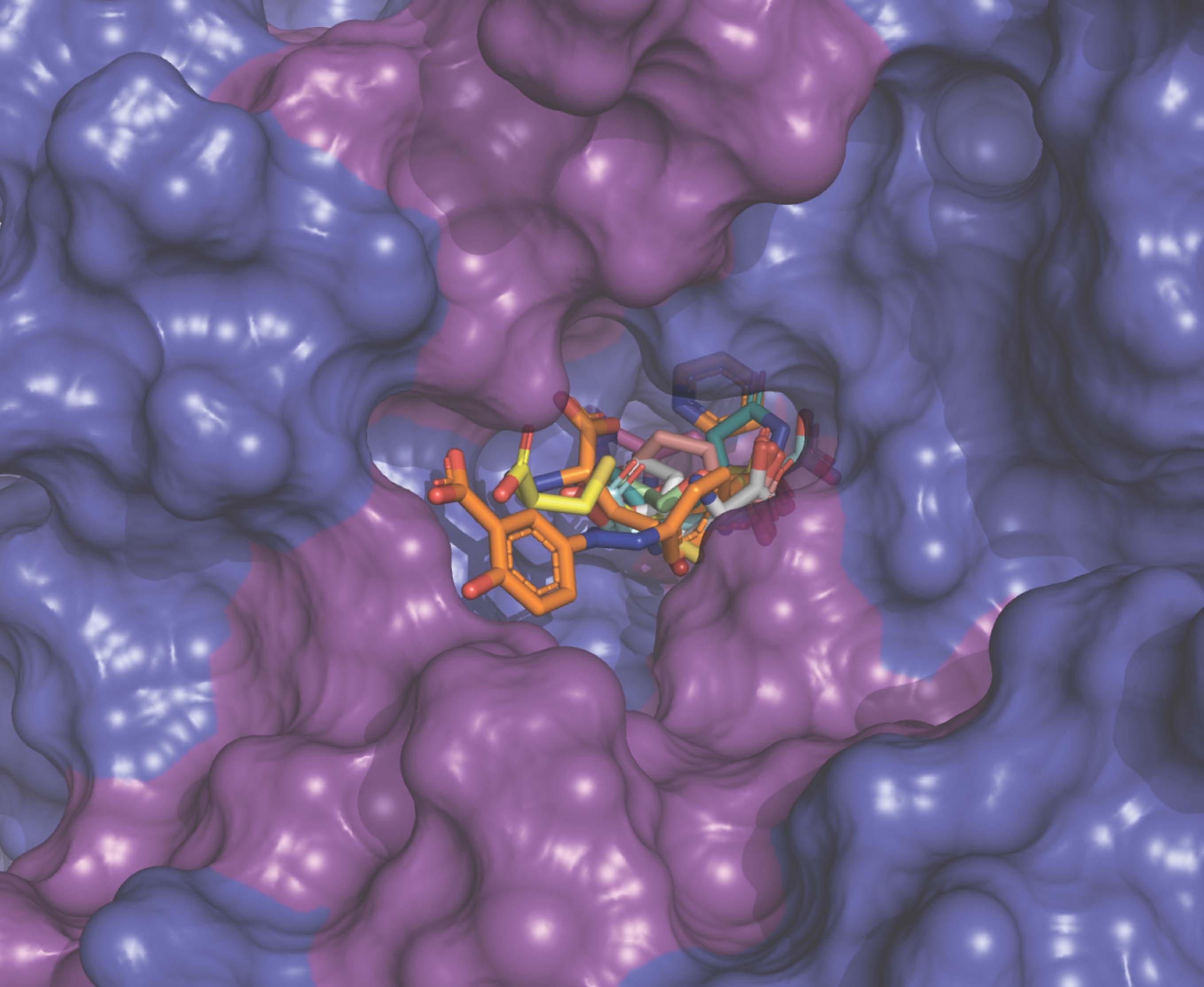 A glutamate transport protein is depicted as a trimer embedded in a lipd membrane with a bound inhibitor.