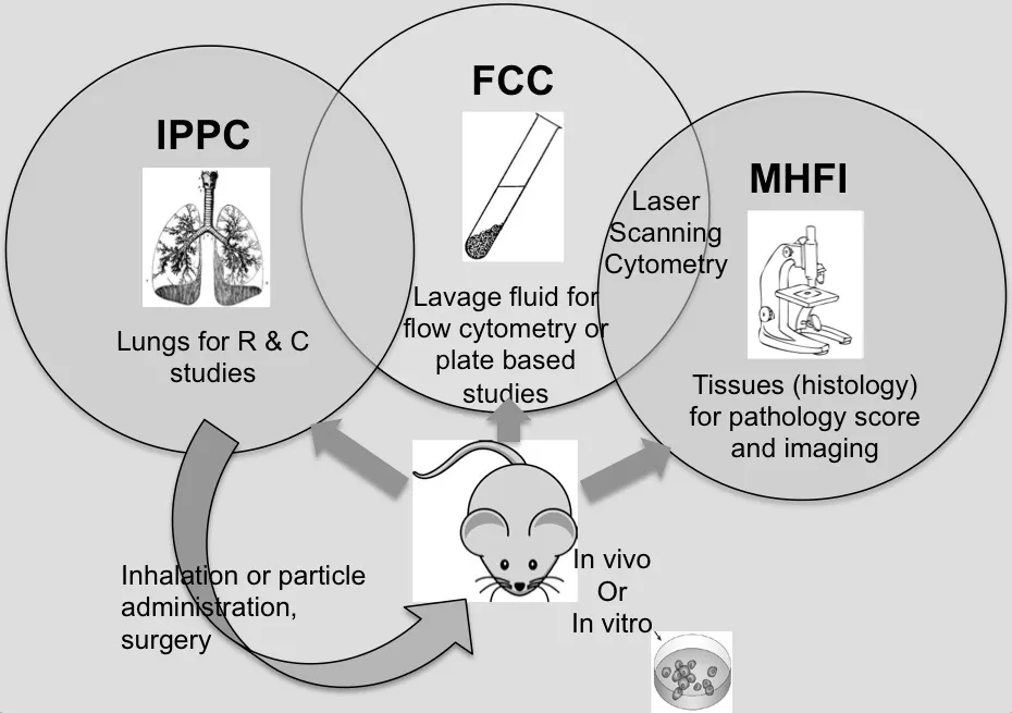 illustration of how the three facility cores relate to a test mouse