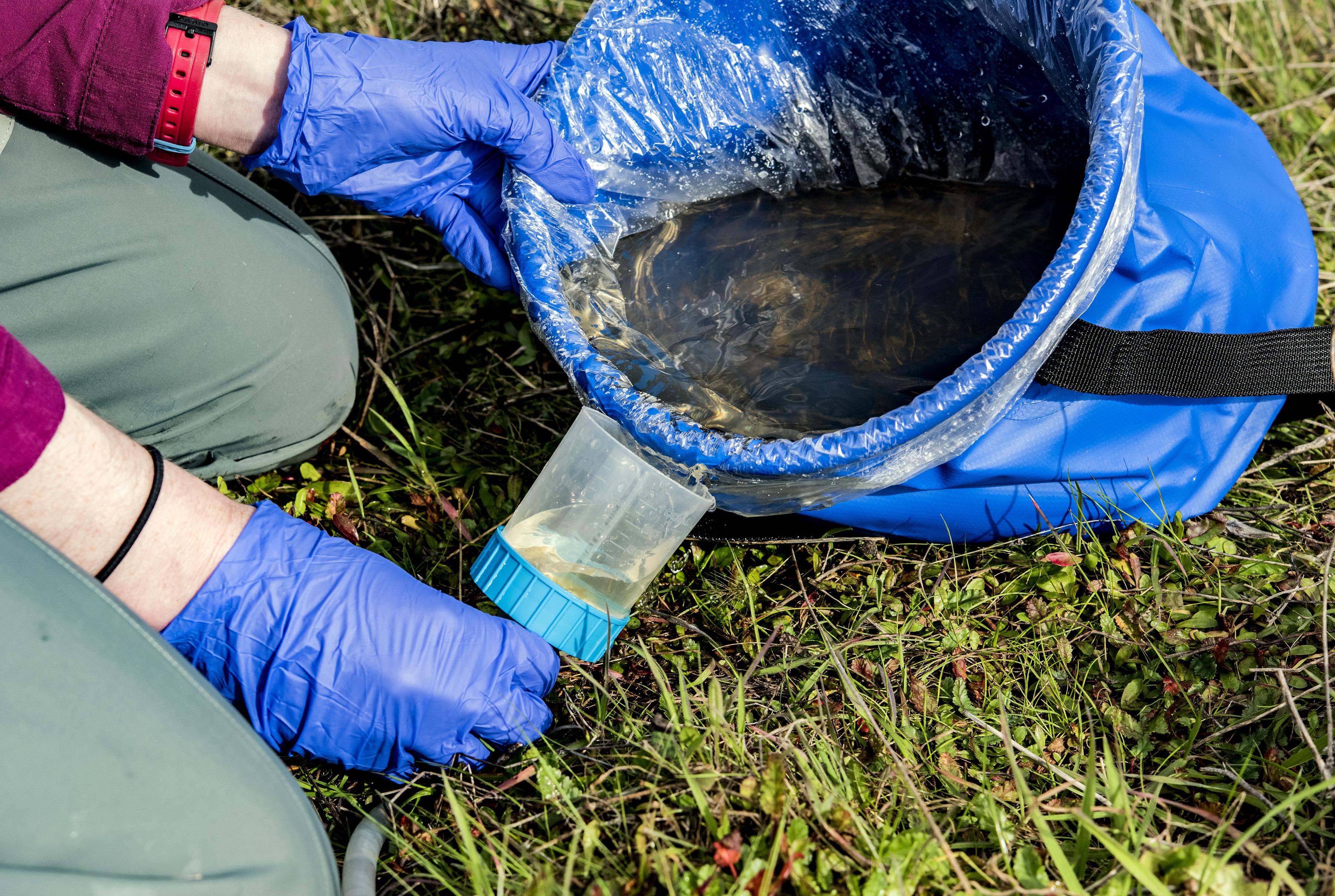 eDNA Sampling