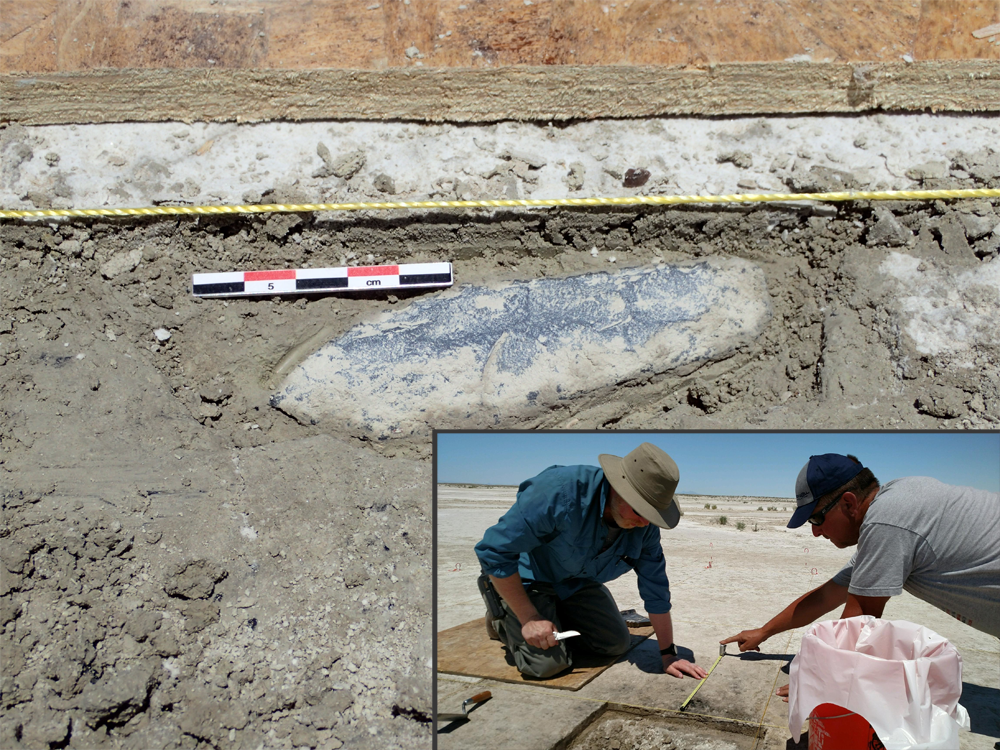 Dr. Darin Duke digging on TO 005