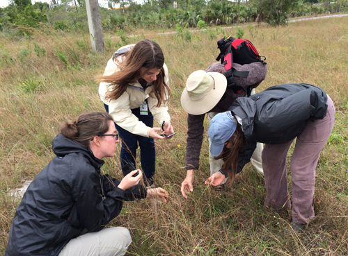 CIRE Techs and PIs looking at plants on Homestead AFS