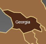simple map outline of georgia