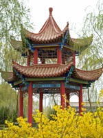 A traditional Chinese pavilion surrounded by lush greenery and blooming yellow flowers.
