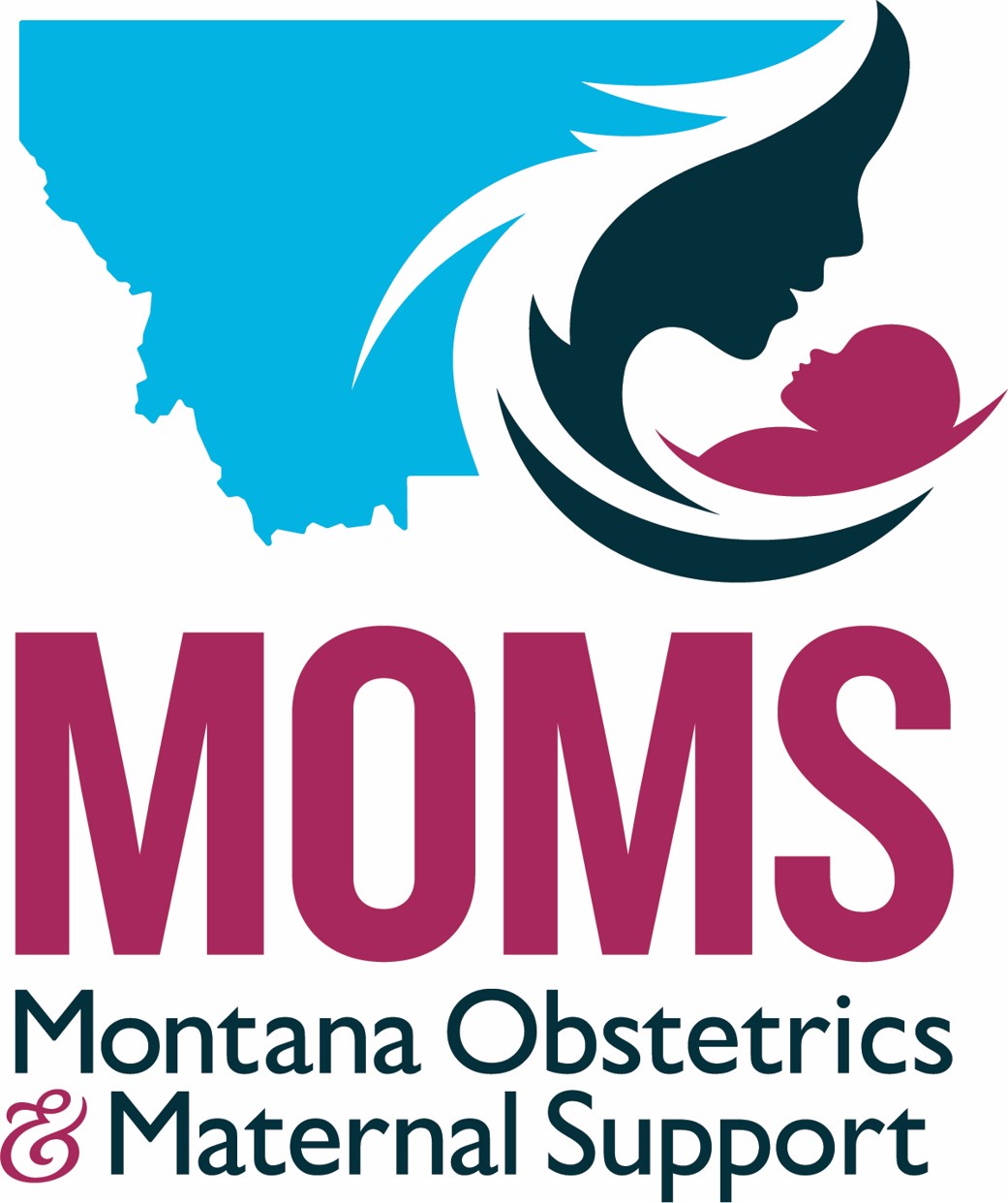 MOMS Demonstration Project Logo